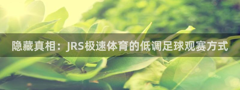 隐藏真相：JRS极速体育的低调足球观赛方式