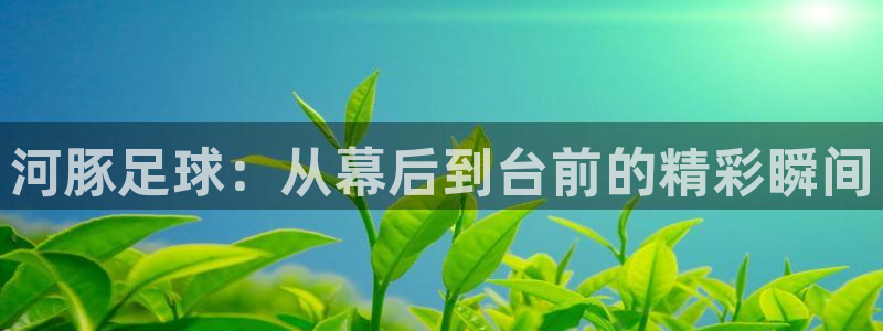 河豚足球：从幕后到台前的精彩瞬间